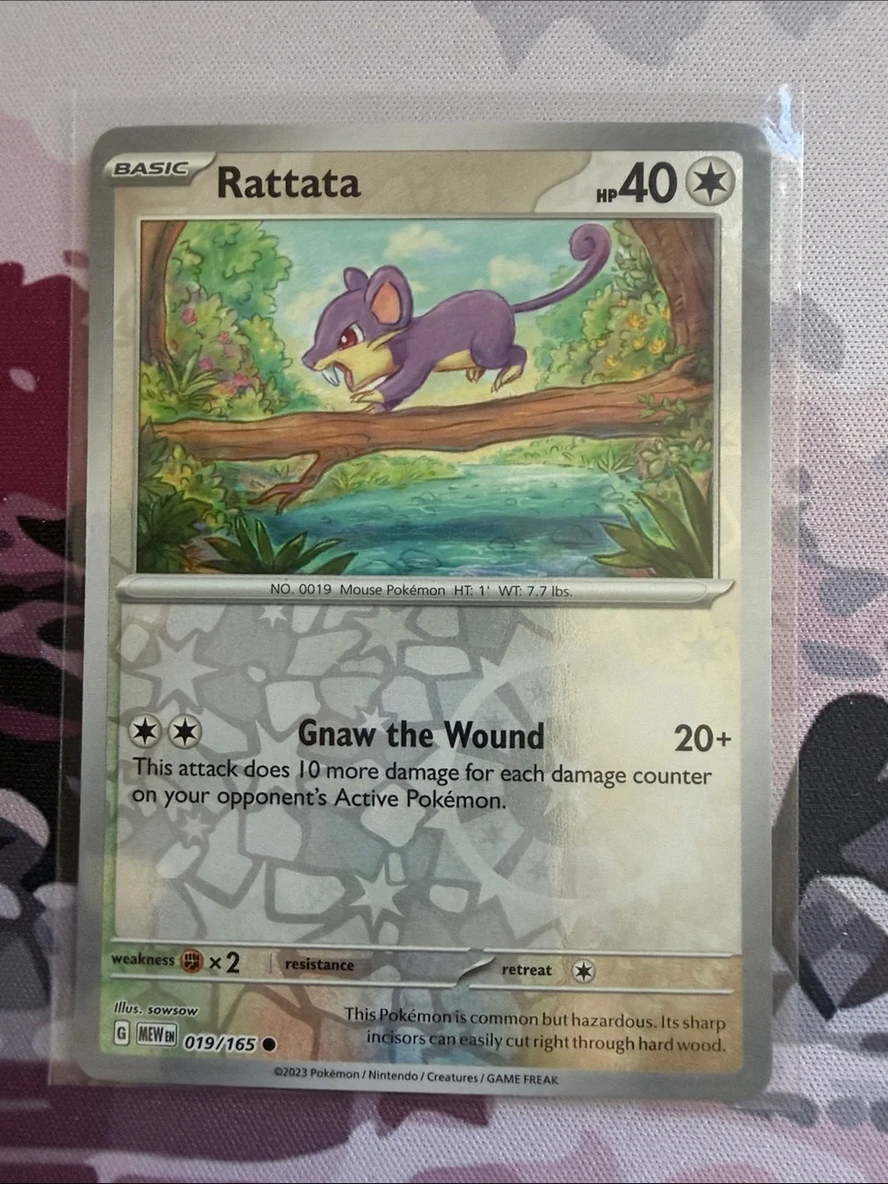 Rattata & Raticate Evolution Lot | Reverse Holo Pokémon Cards ✨5/$25✨